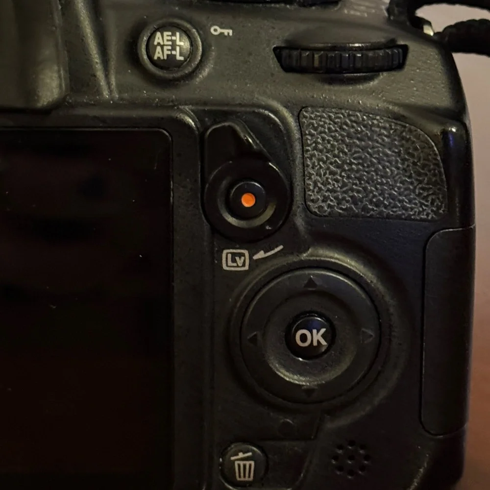 Nikon D3100 with 18-55mm lens + 55-200mm lens